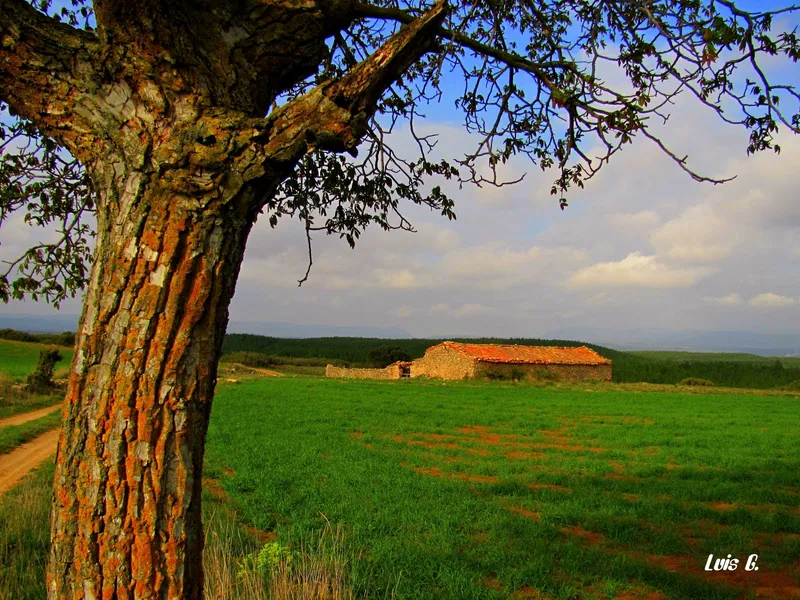 Alto del Trigo