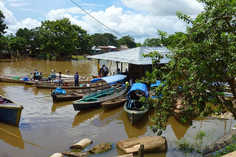 Amazon Rainforest
