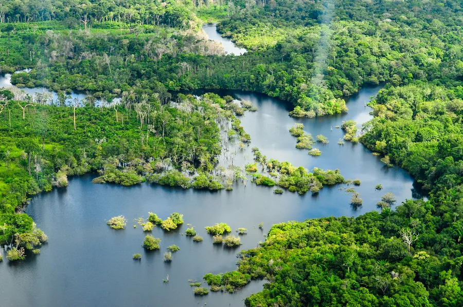 Amazon Rainforest