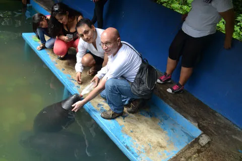 Amazon Rescue Center (CREA)