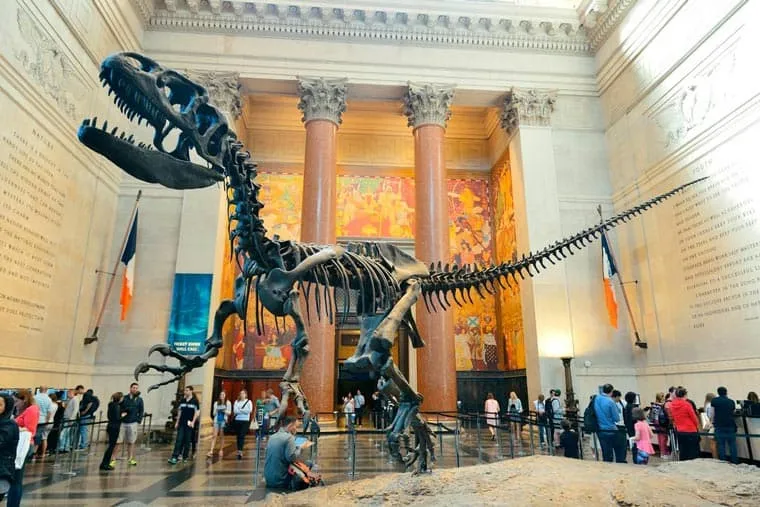 American Museum of Natural History