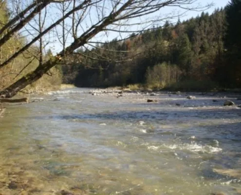Ammer River