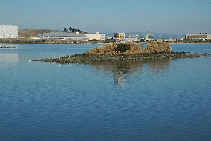 Anchor Point State Recreation Area