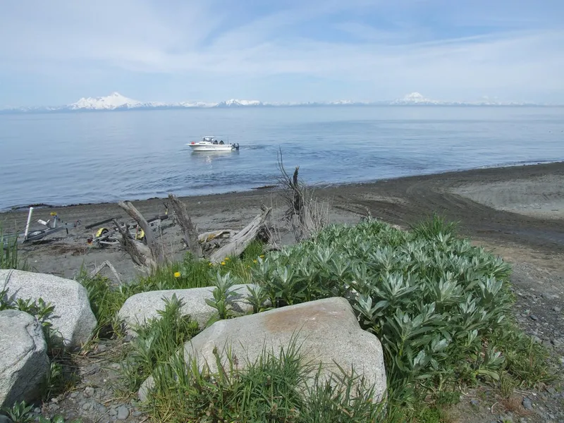 Anchor Point State Recreation Area