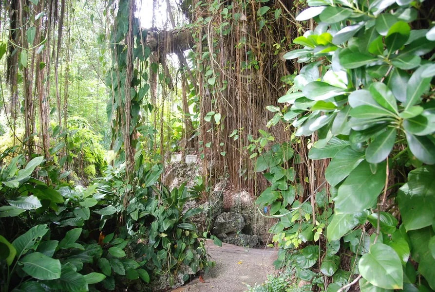 Andromeda Botanic Gardens
