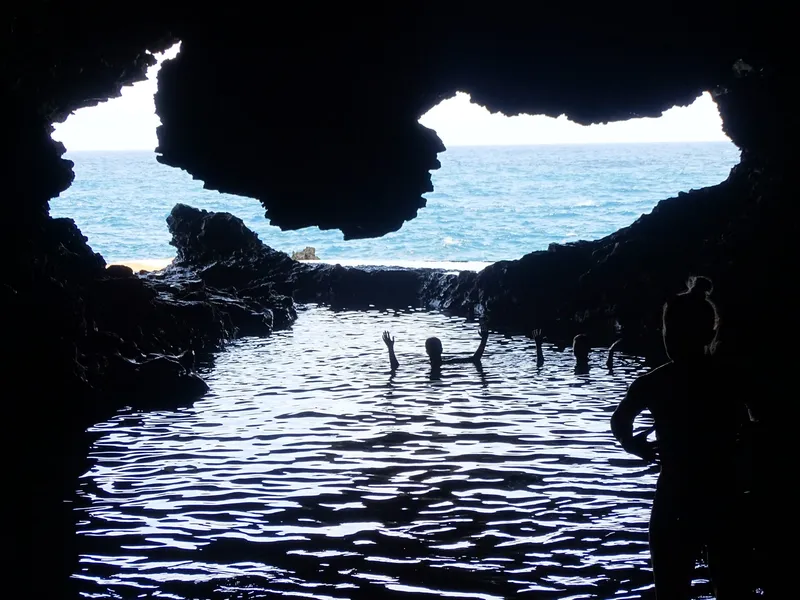 Animal Flower Cave