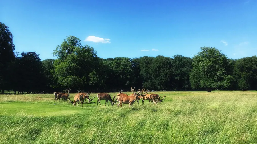 Animal Park of Bouillon