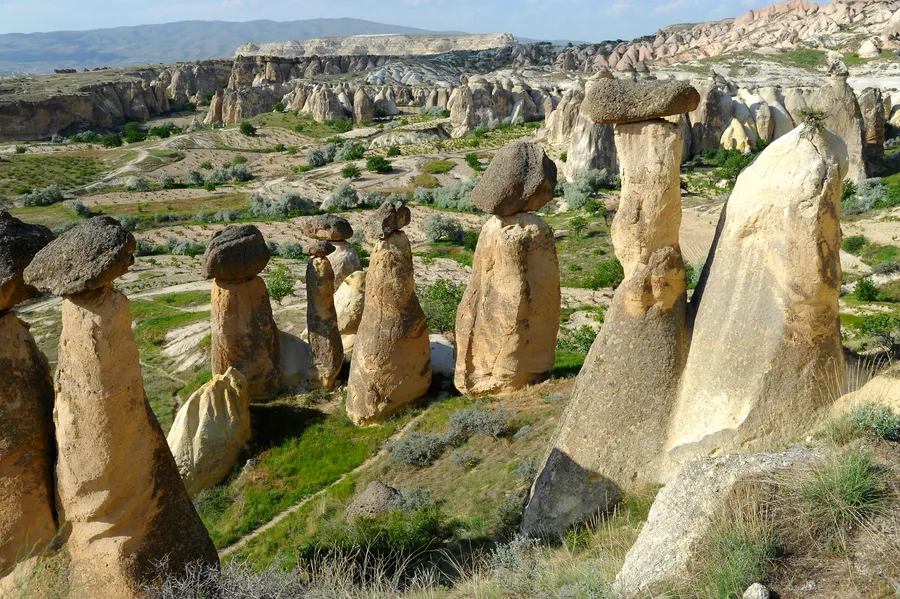 Animal Shaped Rocks
