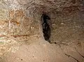 Anthony Caves