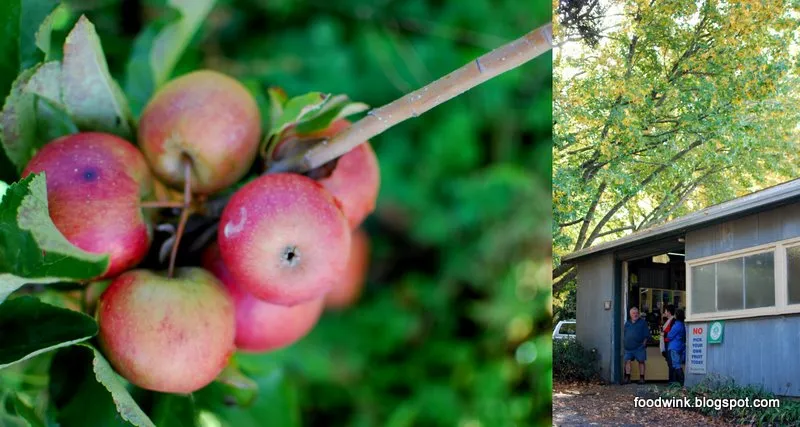 Apple Bar