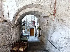 Apricale Olive Groves