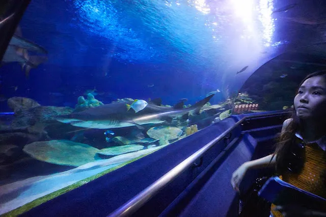 Aquaria KLCC