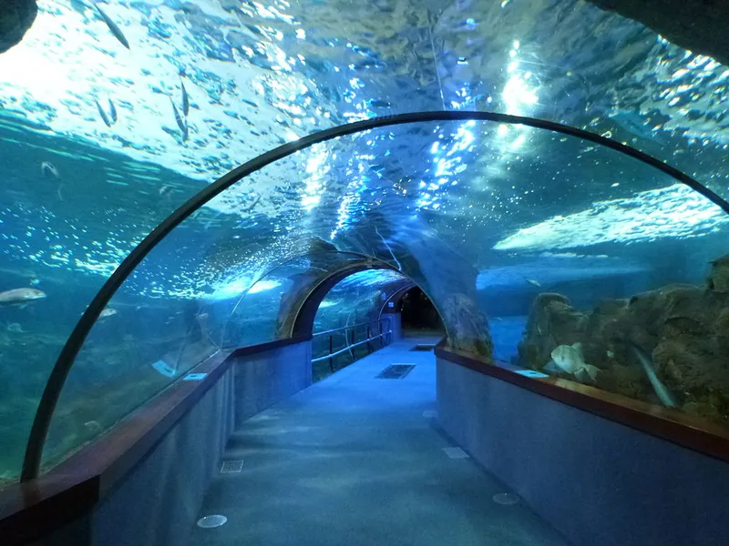 Aquarium Donostia-San Sebastián