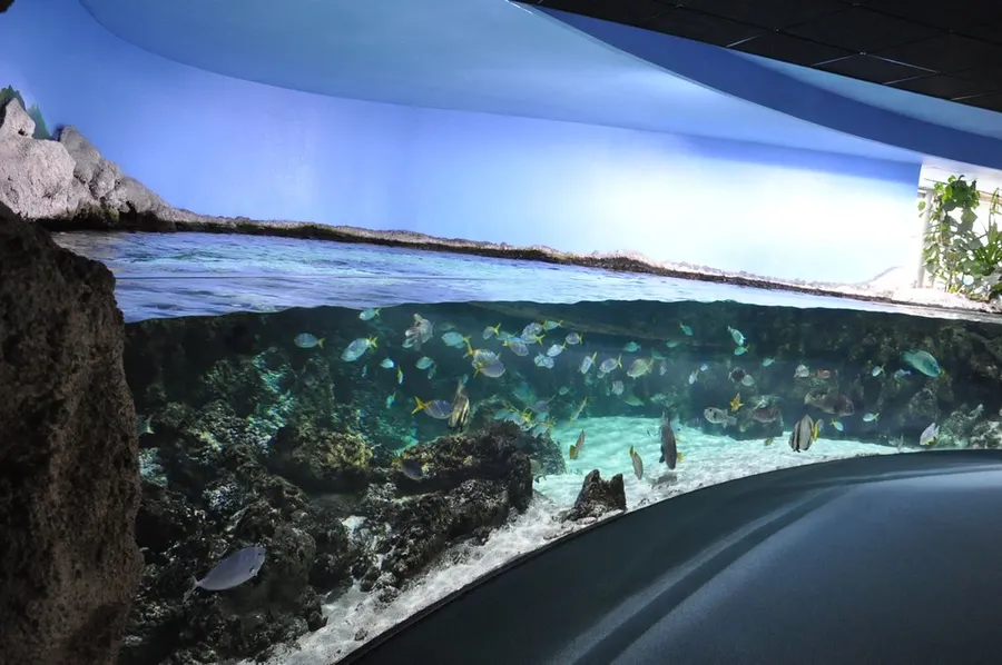 Aquarium La Rochelle