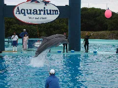 Aquarium Mar del Plata