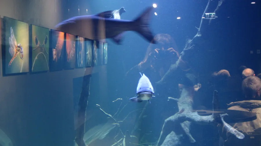 Aquatika - Freshwater Aquarium Karlovac