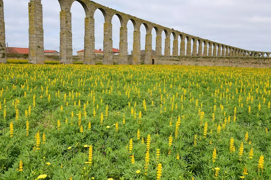 Aqueduto de Vila do Conde