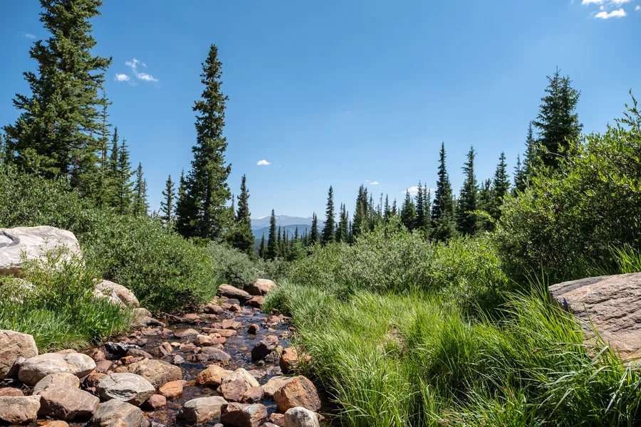 Arapaho National Forest