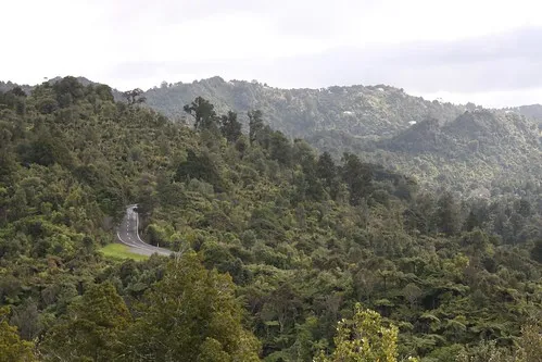 Arataki Cultural Trails