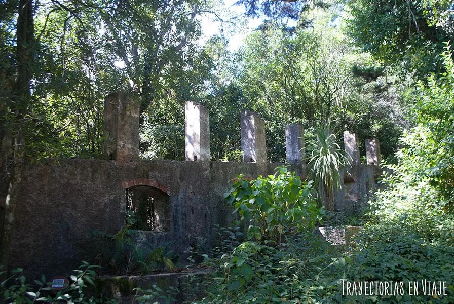 Arboreto Lussich