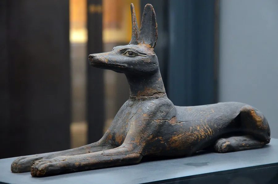 Archaeological Museum in Poznań