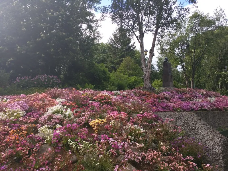 Arctic Botanical Gardens