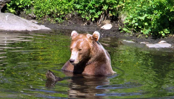 Arctic Wildlife Centre