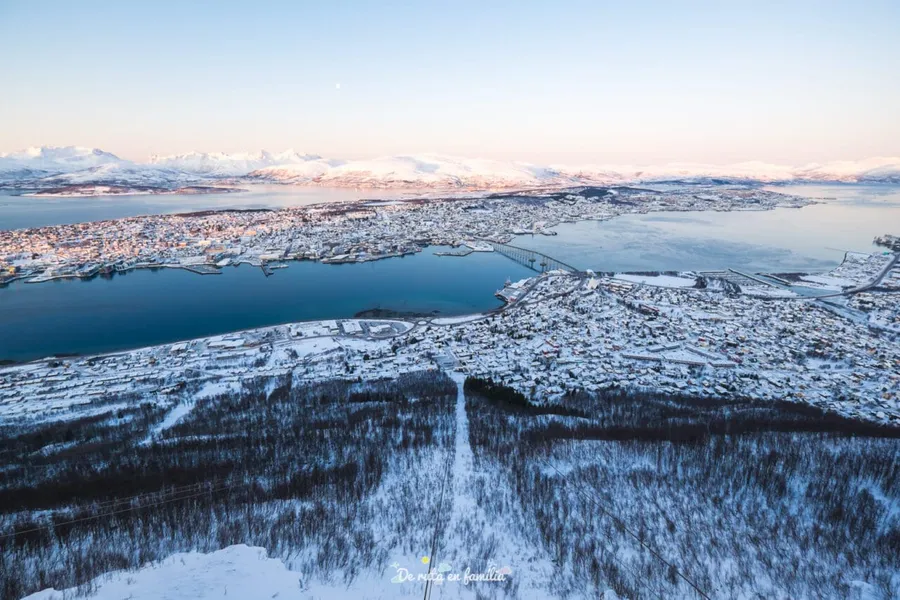 Arctic Wildlife Safari