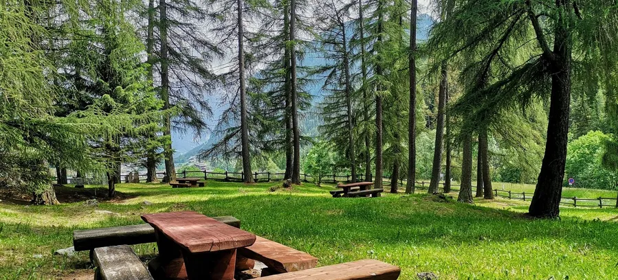 Area Pic Nic