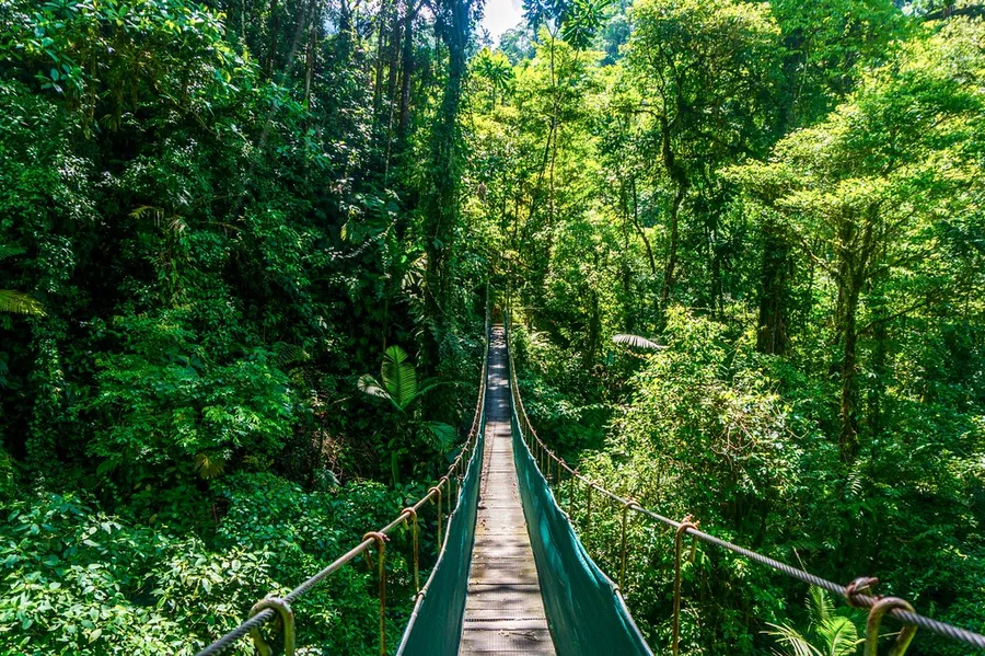 Arenal Hanging Bridges