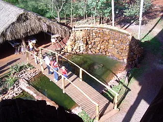 Aripuca