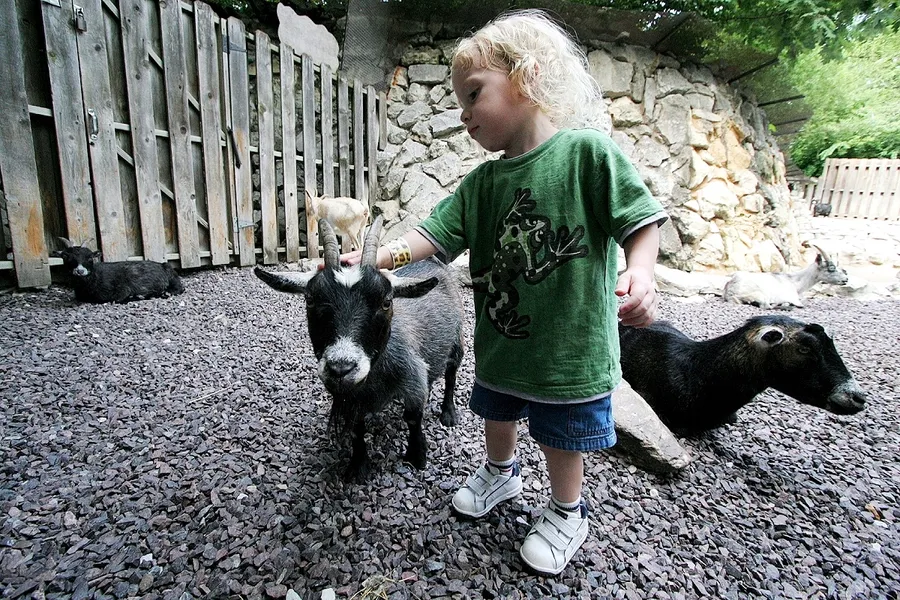 Arkansas Alligator Farm and Petting Zoo