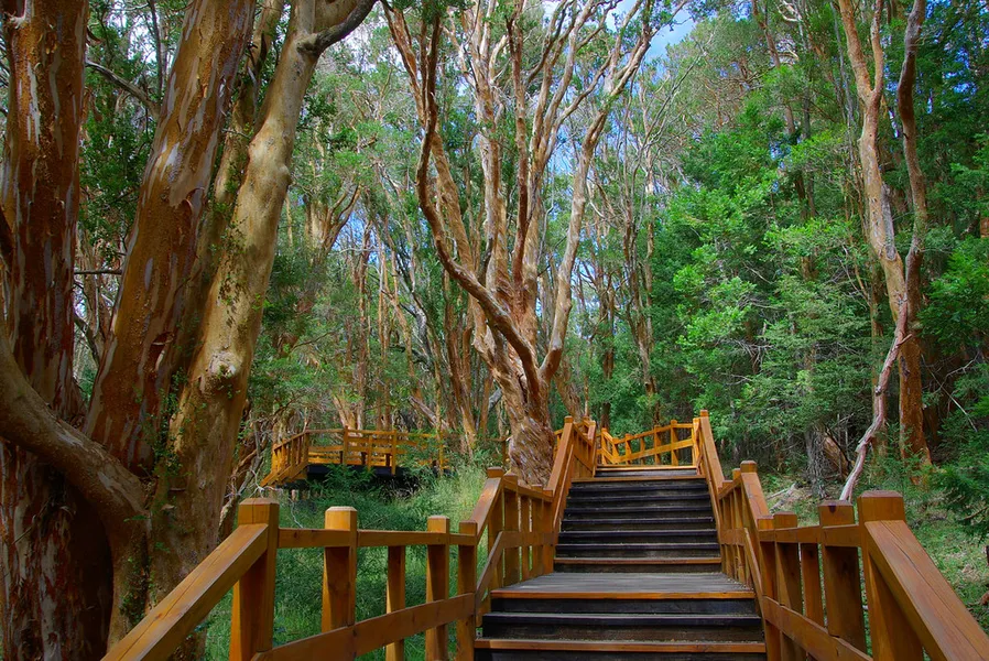 Arrayanes National Park