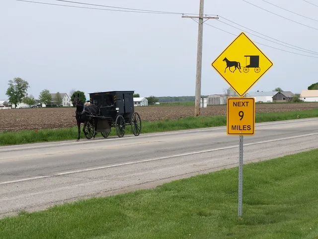 Arthur Amish Area