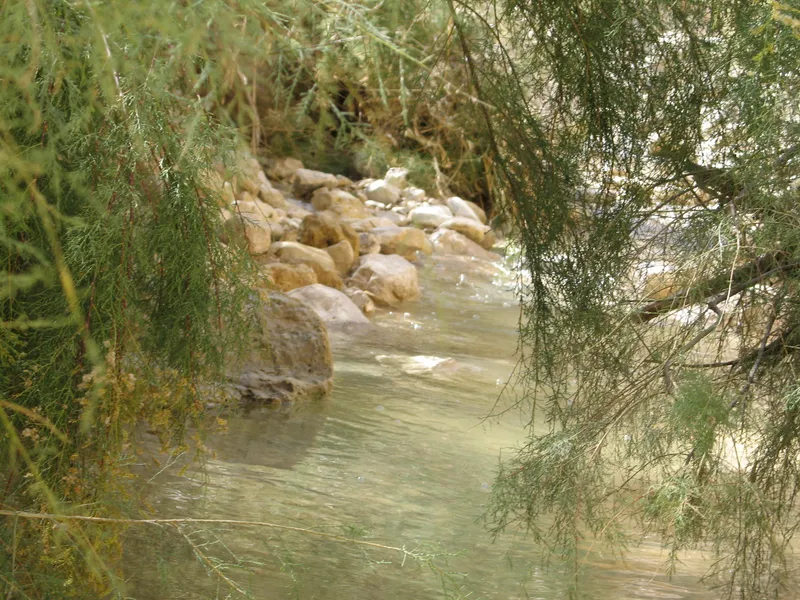 Arugot Stream
