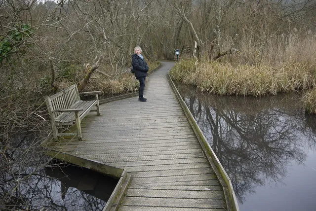 Arundel Wetland Centre