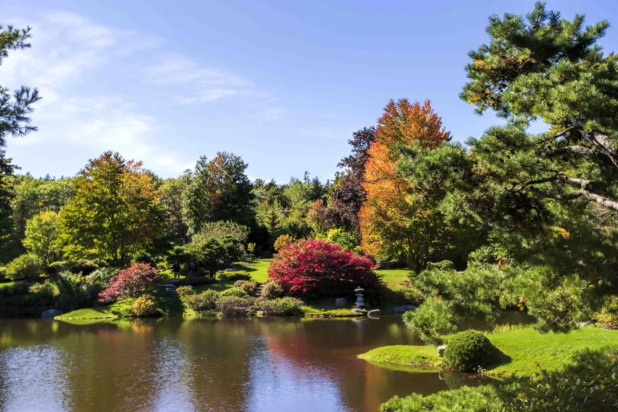 Asticou Azalea Garden