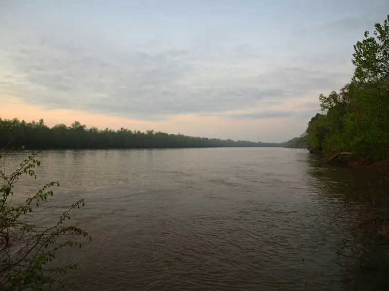 Atchafalaya Basin Landing & Airboat Tours