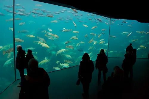 Atlanterhavsparken (Atlantic Sea Park)