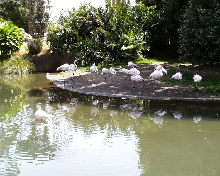 Auckland Zoo
