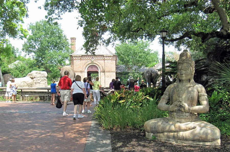 Audubon Zoo