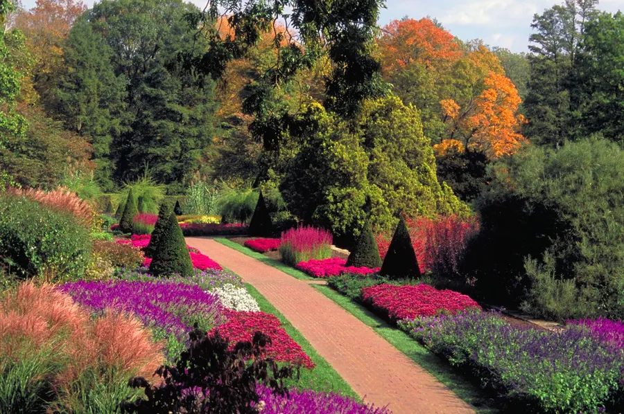 Aullwood Garden MetroPark