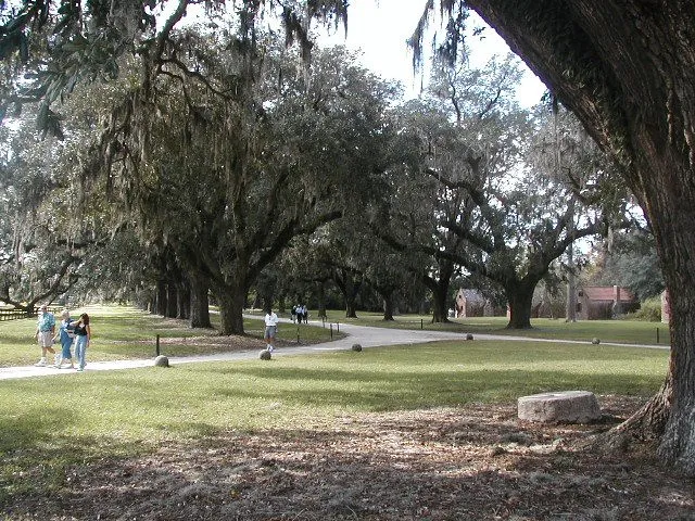 Avenue of the Oaks