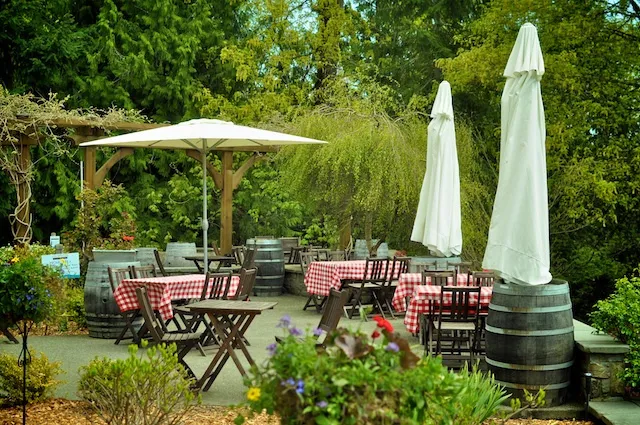 Averill Creek Vineyard