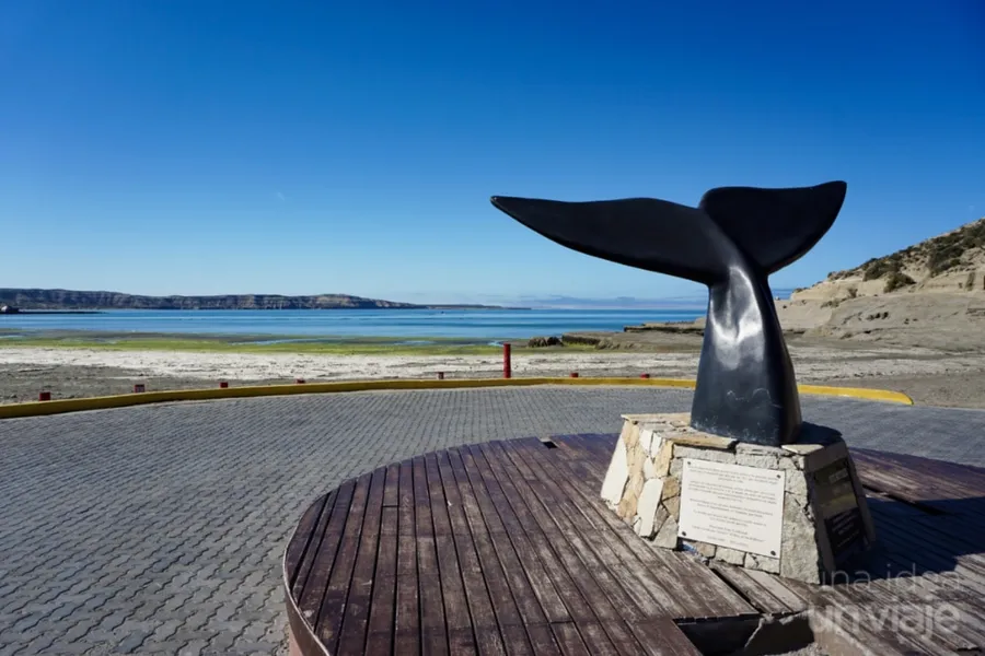 Avistamiento de Ballenas (Whale Watching)