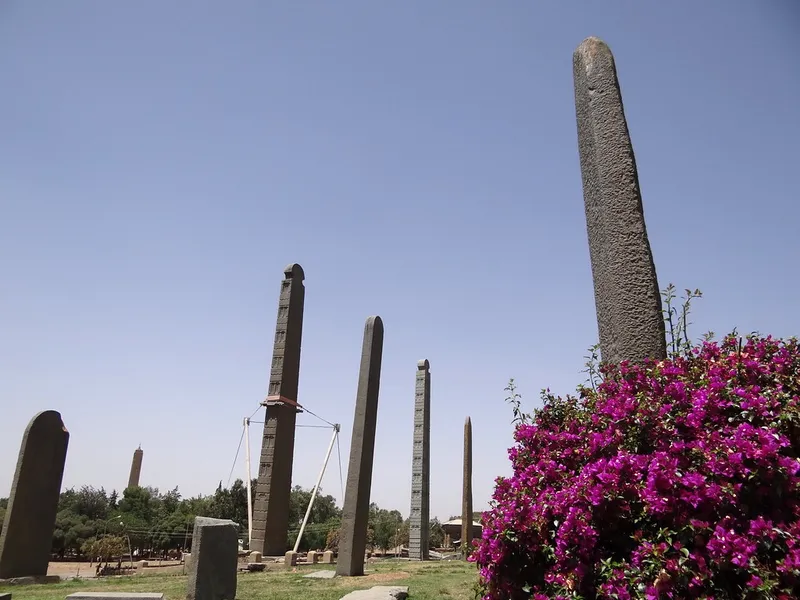 Axum Stelae Field