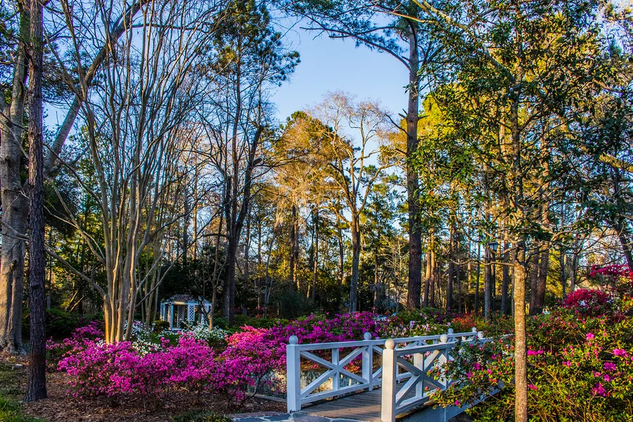 Azalea Park