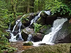 Bühlertal Waterfall
