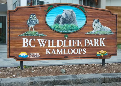 BC Wildlife Park