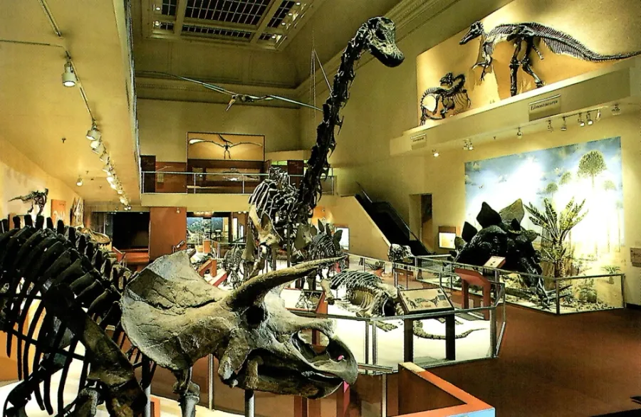 BYU Museum of Paleontology
